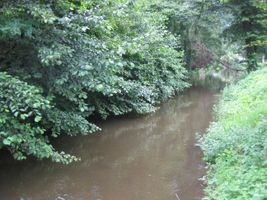 Bojovský potok 1-Měchenice 12.8.10 (1).jpg